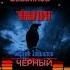Сергей Завьялов Черный ворон