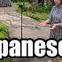 How Do Japanese Treats Foreigners In Rural Japan Mountain Fern Filipino Single Father In Japan