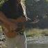 New Country Artist Performs Original Music In The CherokeeLanguage