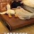 A Magical Folding Sofa Bed For Small Apartments That Covers An Area Of 1 Square Meter Sofabed Sma