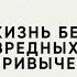 Жизнь без вредных привычек Психолог София Болховитина Имеет смысл с Татаркой