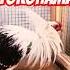 Yokohama Xo Rozlari GayratBaraka Shorts Rooster Yokohama Phoenix