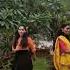 Dhadhang Dhang Dancecover Dancevideo Shorts Youtubeshorts Terimerijodi Terimeriyejodijamegi