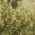 The Chainsmokers Ft Daya Dont Let Me Down Official Video Sub Espaol Lyricsdescargaryoutube Com