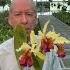 The Trick To Growing Cattleya Dowiana