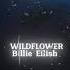 Billie Eilish Wildflower Dj Ranie Gqom Remix