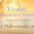 Flute Concerto In C Minor RV 441 II Largo