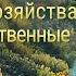 Голландский план преобразования сельского хозяйства в продовольственные леса