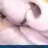 What S Up With This Shark S Mouth