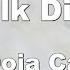 Karaoke Talk Dirty Doja Cat No Guide Melody Instrumental