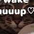Cozy Cat Morning POV Wake Up Call