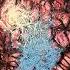 Aedes Fin Odious Imprecation EP 2023