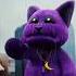 The Cat That Was Thrown Away Its Return Was Not What They Expected