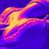 Uncontrollable Female Pleasure Intense Binaural Orgasmic Experience