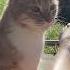 Таити Гаити не были мы ни в какой Таити Нас и здесь не плохо кормят Cat леонард