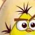 Angry Birds Злые птички Звуки из яиц