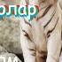 Эстен кеткис эски ырлар жыйнагы 6 топтом Карагат медиа Karagat Media Каналга жазылыңыз