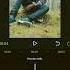 KAMLEE Official Audio SARRB Starboy X Oh Insta Te Labbe Photoah