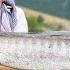 IRAN Rural Life Cooking Two Giant Fish Inside Clay Over Fire