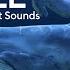 5 Hours Of Deep Underwater Whale Sounds For Sleep And Relaxation NO MUSIC Ambient Sounds