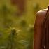 FULL GANJA Reggae 2025 Vol 2 Best Ganja Reggae Deep Bass Conscious Lyrics Freedom