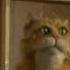 Behind The Scenes Dog City The Jim Henson Company