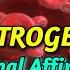 300 Pure Estrogen Boost Affirmations Extremely Powerful