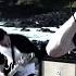 In Hearts Wake LORELEY The Lovers Official Music Video