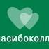 Спасибо коллега Говорит Зам директора ДДТ Владимир Скворцов