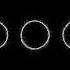 Swedish House Mafia 070 Shake Ty Dolla Ign Lifetime Studio Acapella