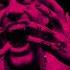 FREE LOVV66 X PINQ X ШАЙНИ Type Beat Dumb Sh T Prod Rook