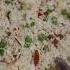 Polaw Recipe Testy Shortvideo Viralshort Cooking Sabira