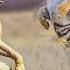 Can Kangal Win A Tiger Lion Or Jaguar In A One On One Fight