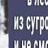 70 летний егерь в лесу услышал плач малыша из сугроба Раскопал и не смог поверить своим глазам