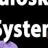 Overview Of The Musculoskeletal System Animation