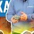 Чугун в каменку банной печи Лучше обычного камня