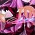 Touhou Remix Project 7 Days Magic Patchouli Locked Girl The Girl S Secret Room
