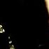 Fly Project Unisex Official Music Video