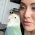 The Post Fight Interview Birds Lovebird Talkingparot Tiktok Funnyanimals Tiktokers Funny
