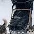 Elderly Man And Sled Dogs Rescue Injured Skier In A Snowstorm Animals Rescue Dog