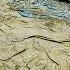 Rare Persian Carpet Found In Storage Deep Cleaning ASMR Transformation Carpet Cleaning