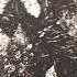 I Am Ugly Edit Duvet Bôa Slowed Edit Viral Shorts Miyamotomusashi Ghibli Vagabond Yt