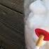 How Smoking 30 PACKS Of Cigarettes Wrecks Your Lungs You Must See This