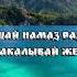 Мишари рашид Сура 108 АЛЬ КАУСАР ИЗОБИЛИЕ