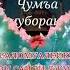 Рузи саиди чума муборак дустони азизам лайк мон