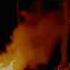The Shaggster Bonfire Childish Gambino Remix Official Visualizer