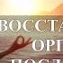 Восстановление Организма После 40 50 Лет Матрица Гаряева