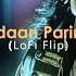 Nadaan Parindey Lofi Flip VIBIE Mohit Chauhan A R Rahman