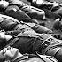 The Waffen SS Unit That Was Wiped Out Without A Single Gunshot In Ukraine During 1944
