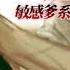 女性向 中文音声 以为自己被嫌弃而难受的爹系男友胃疼 爹系 年上